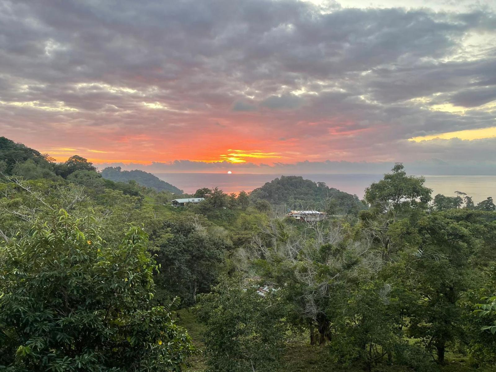 Vista Serena Manuel Antonio Bagian luar foto